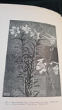 W Midgley & A E V Lilley - A Book of Studies in Plant Form, Chapman & Hall, 1927