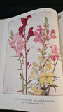 Horace Wright & Walter P Wright - Beautiful Flowers & How To Grow Them, T & E Jack, 1922