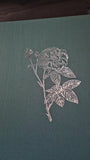 Frank J Anderson - The Complete Book of 169 Redoute Roses, Abbeville Press, 1979