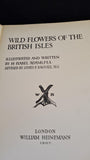 H Isabel Adams - Wild Flowers of The British Isles, William Heinemann, 1907