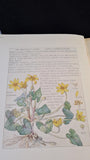 H Isabel Adams - Wild Flowers of The British Isles, William Heinemann, 1907