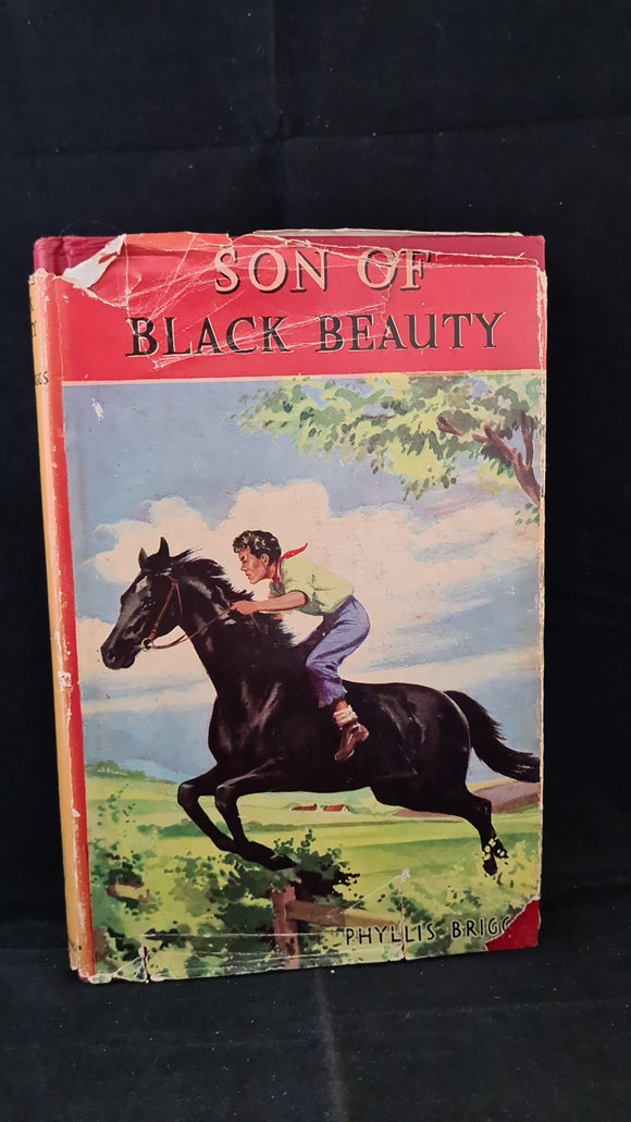 Phyllis Briggs - Son of Black Beauty, Thames Publishing, no date
