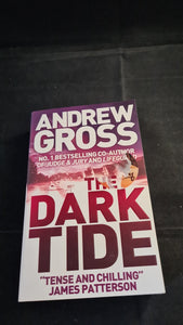 Andrew Gross - The Dark Tide, Harper, 2008, Paperbacks