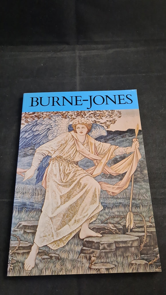 Burne-Jones, All Colour Paperbacks, Academy Editions, 1979