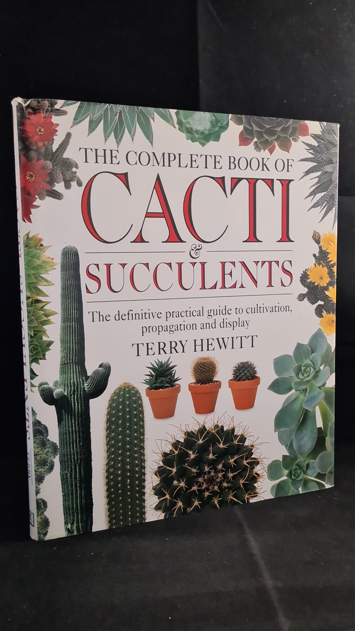 cacti and succulents book Terry Hewitt