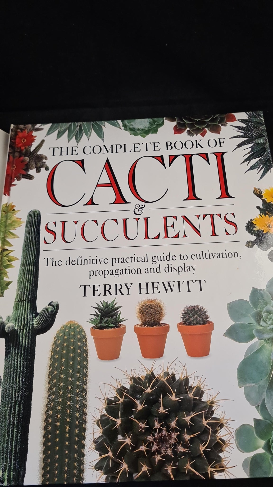 the complete book of cacti & succulents Terry Hewitt