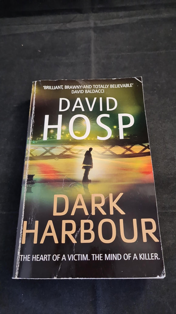 David Hosp - Dark Harbour, Pan Books, 2010, Paperbacks