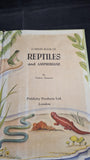 Valerie Swenson - Reptiles and Amphibians, Publicity Products, 1954