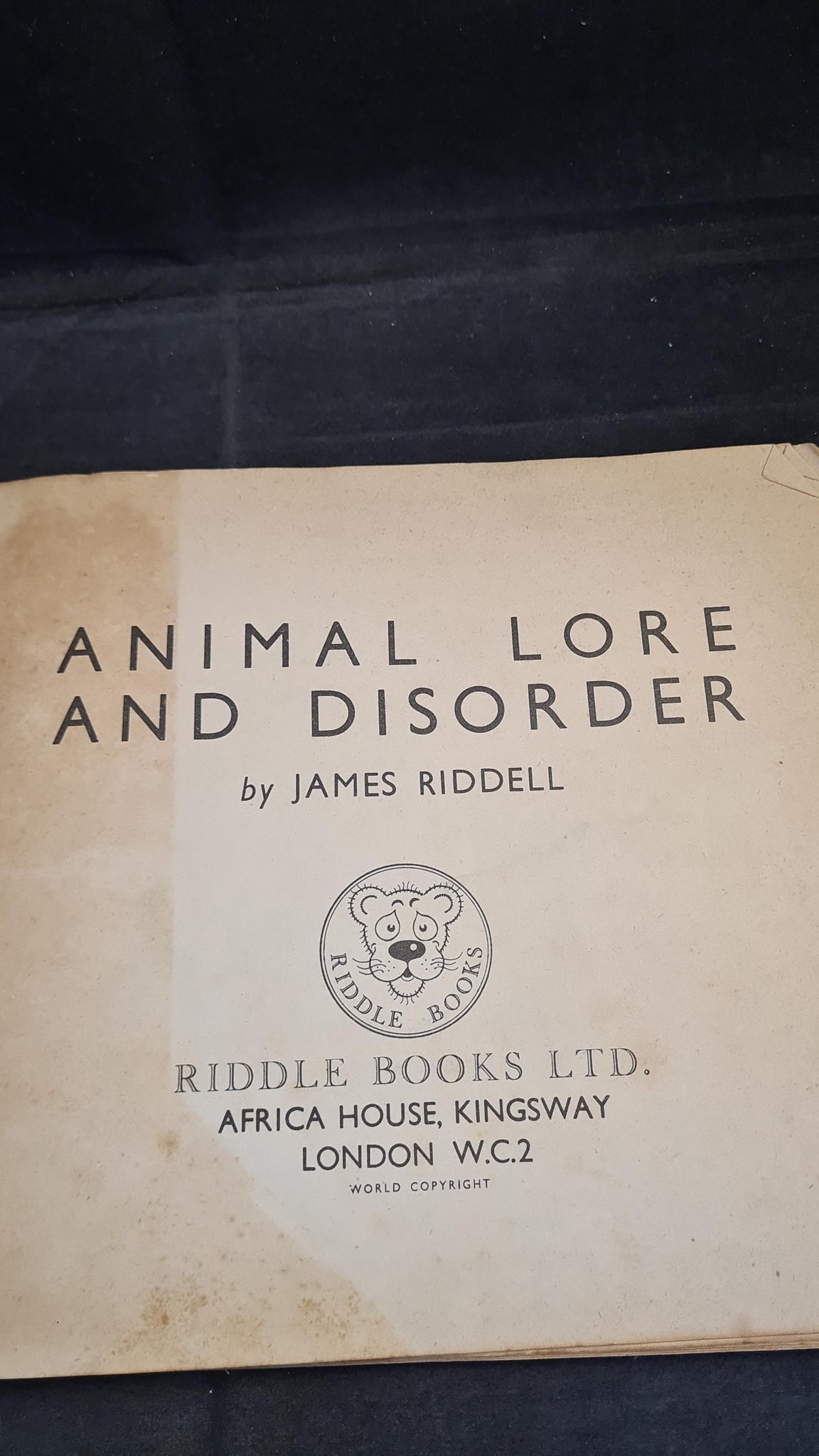 James Riddell - Animal Lore and Disorder, Africa House, no date ...