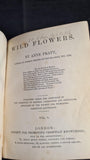 Anne Pratt - Wild Flowers, Society For Promoting Christian Knowledge, no date