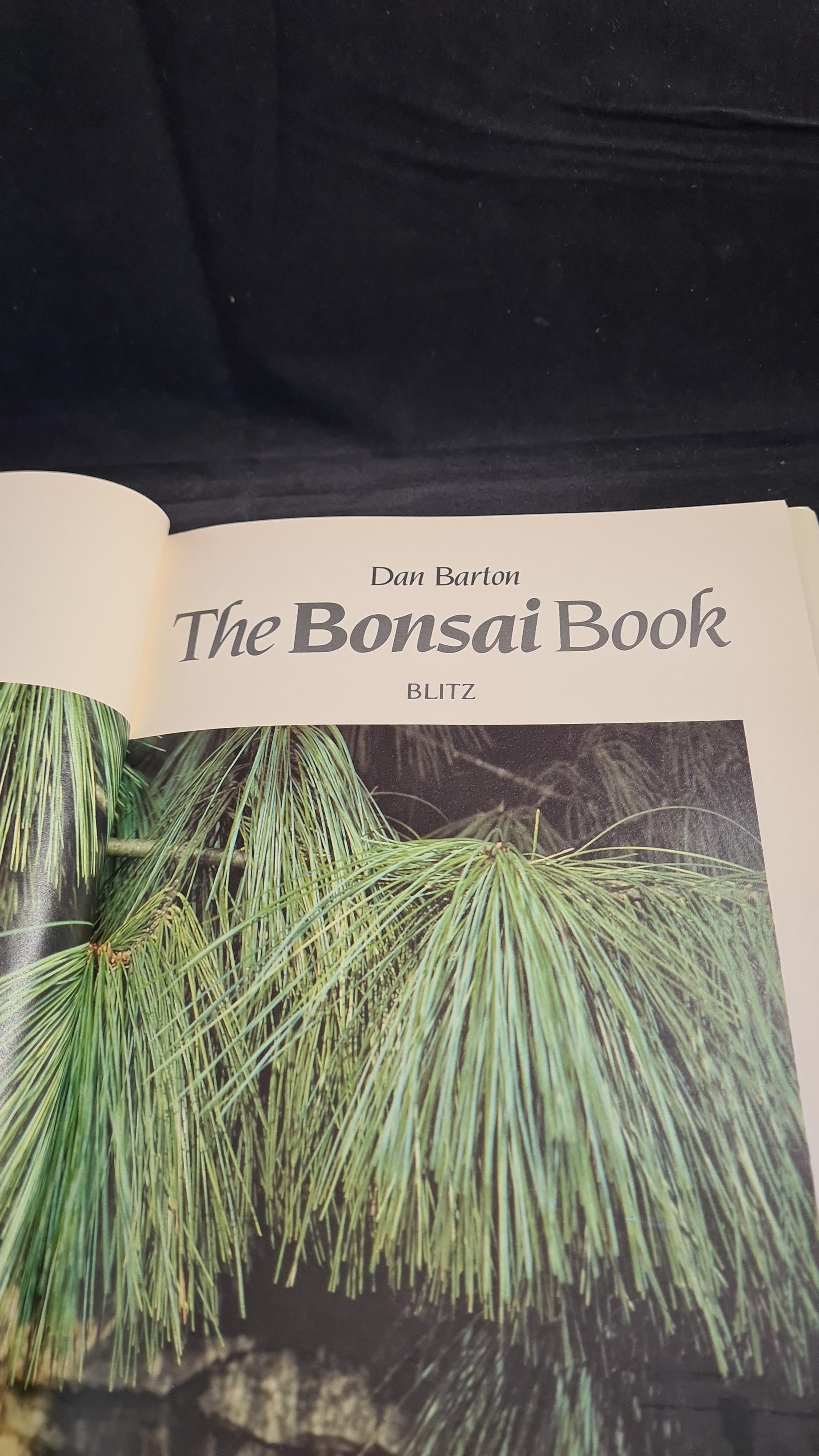 Dan Barton - The Bonsai Book, Blitz Editions, 1993  Richard Dalby's Library