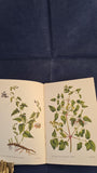 E J Salisbury - Flowers of The Woods, King Penguin Books, 1946