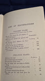 Andrew Lang - The Lilac Fairy Book, Longmans, Green, 1910, First Edition