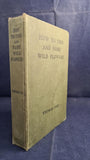Thomas Fox - How To Find and Name Wild Flowers, Cassell, 1907