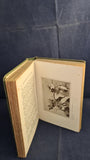 Thomas Fox - How To Find and Name Wild Flowers, Cassell, 1907