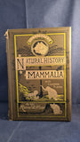 Reverend J G Wood - Illustrated Natural History Mammalia, George Routledge, no date