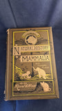 Reverend J G Wood - Illustrated Natural History Mammalia, George Routledge, no date