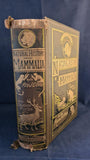 Reverend J G Wood - Illustrated Natural History Mammalia, George Routledge, no date