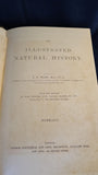 Reverend J G Wood - Illustrated Natural History Mammalia, George Routledge, no date