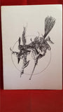 Rosemary Pardoe - The Great Paxton Witch & some Folklore, 1977