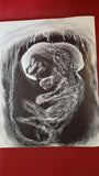 Mark Rainey - Deathrealm Issue 23, Malicious Press, Spring 1995