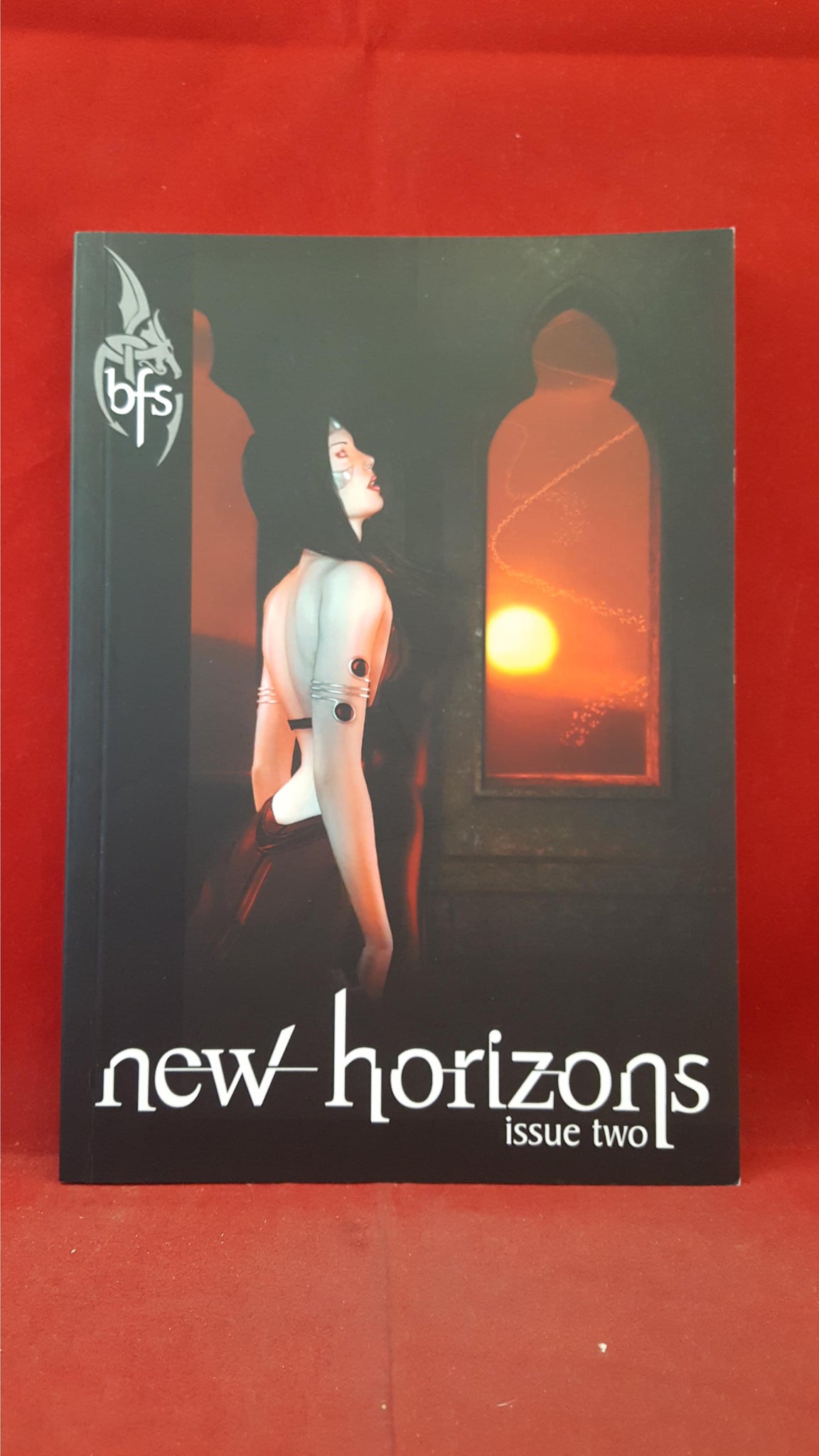 Andrew Hook - New Horizons Issue 2, 2008, British Fantasy Society ...