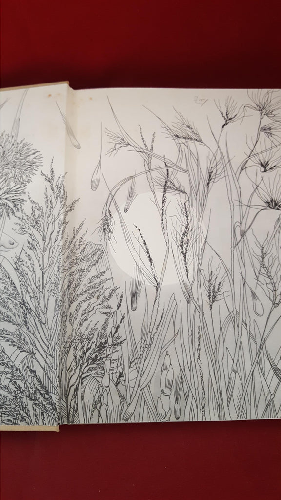 Geraldine Elliot - The Long Grass Whispers, George Routledge, 1939, Fi ...