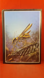 Tim White - The Science Fiction & Fantasy World, New English Library, 1981, First Edition