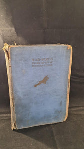 War Birds - Diary of an Unknown Aviator, John Hamilton, 1926