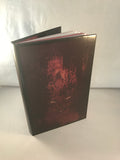 Vincent O'Sullivan - Master of the Fallen Years, Ghost Story Press 1995, Limited Edition, Print 12